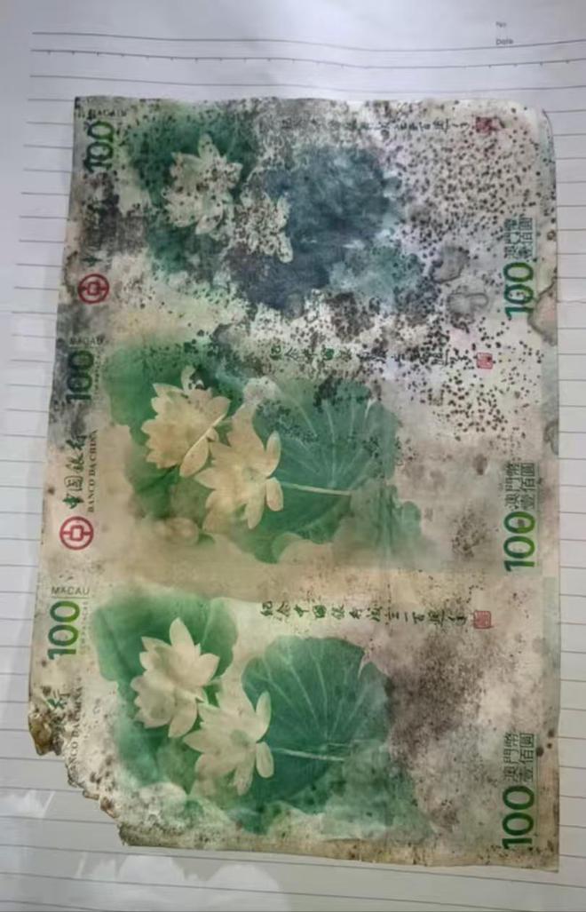 当导致霉变收藏者需重视保管方法麻将胡了试玩平台纪念钞保存不(图2)